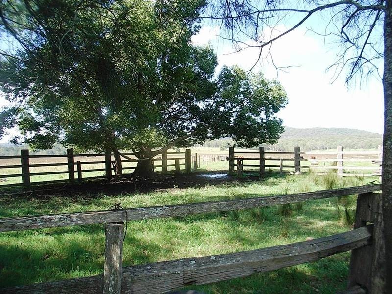 959 Tucabia Rd/Tallowood Ln, Tucabia NSW 2462