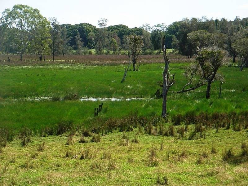 959 Tucabia Rd/Tallowood Ln, Tucabia NSW 2462