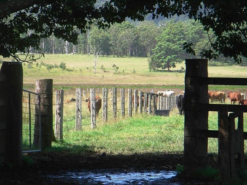 959 Tucabia Rd/Tallowood Ln, Tucabia NSW 2462