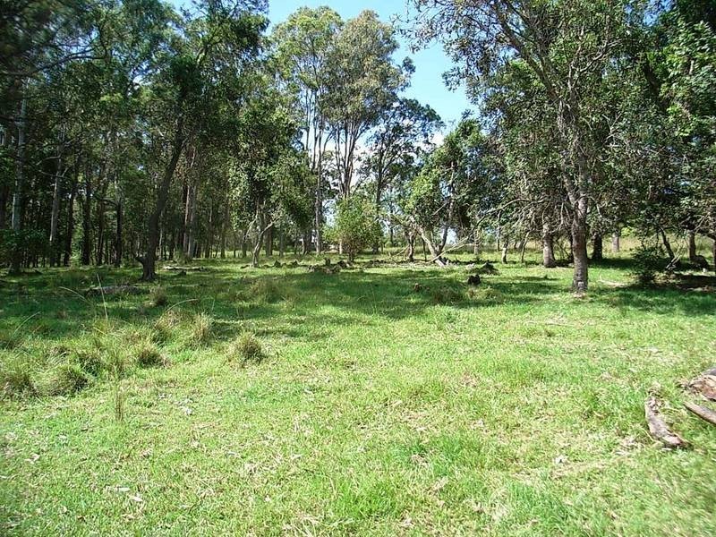 959 Tucabia Rd/Tallowood Ln, Tucabia NSW 2462