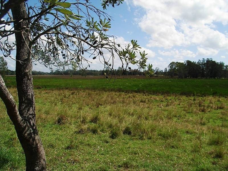 959 Tucabia Rd/Tallowood Ln, Tucabia NSW 2462