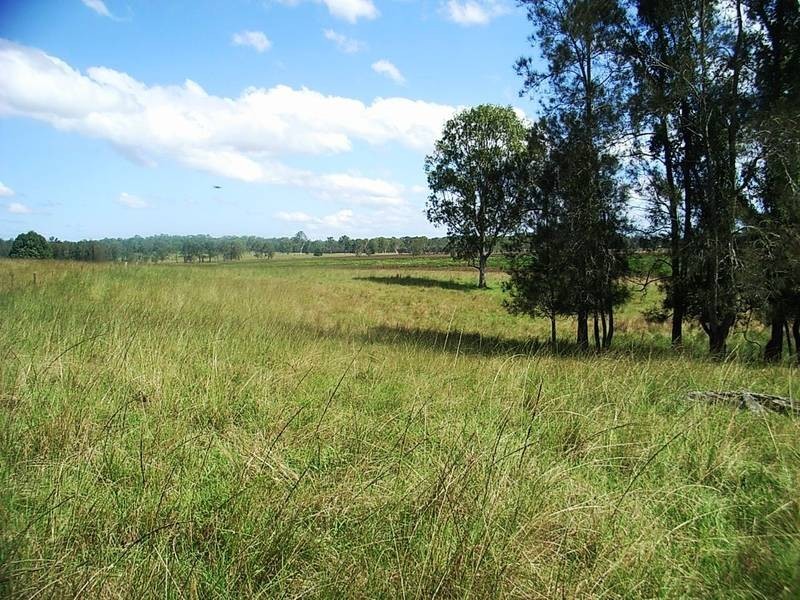 959 Tucabia Rd/Tallowood Ln, Tucabia NSW 2462