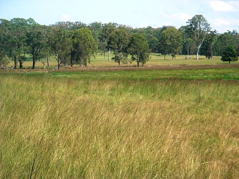 959 Tucabia Rd/Tallowood Ln, Tucabia NSW 2462