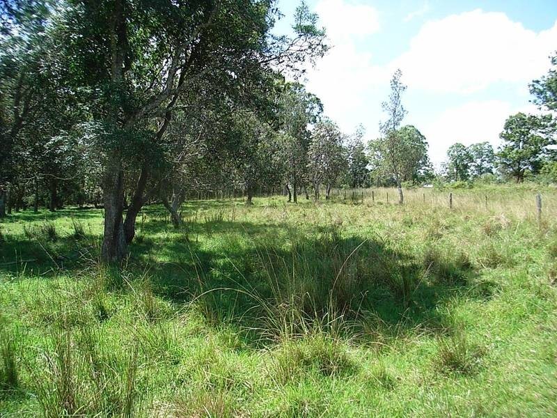 959 Tucabia Rd/Tallowood Ln, Tucabia NSW 2462