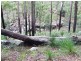Lot 3,20 & 19,  Stonehouse Rd, Pillar Valley NSW 2462