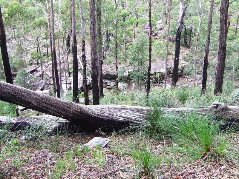 Lot 3,20 & 19,  Stonehouse Rd, Pillar Valley NSW 2462