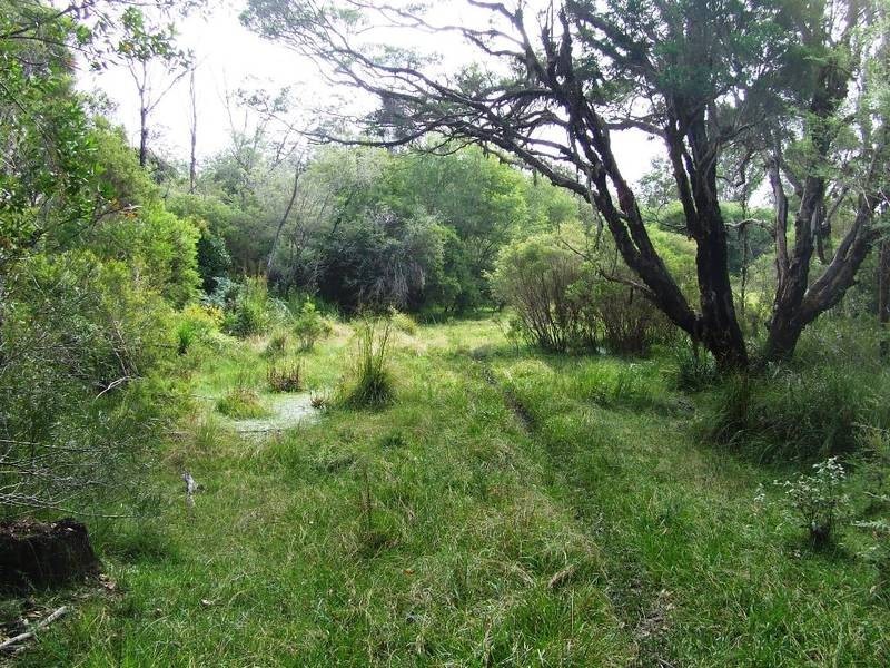 Lot 3,20 & 19,  Stonehouse Rd, Pillar Valley NSW 2462