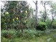 Lot 3,20 & 19,  Stonehouse Rd, Pillar Valley NSW 2462