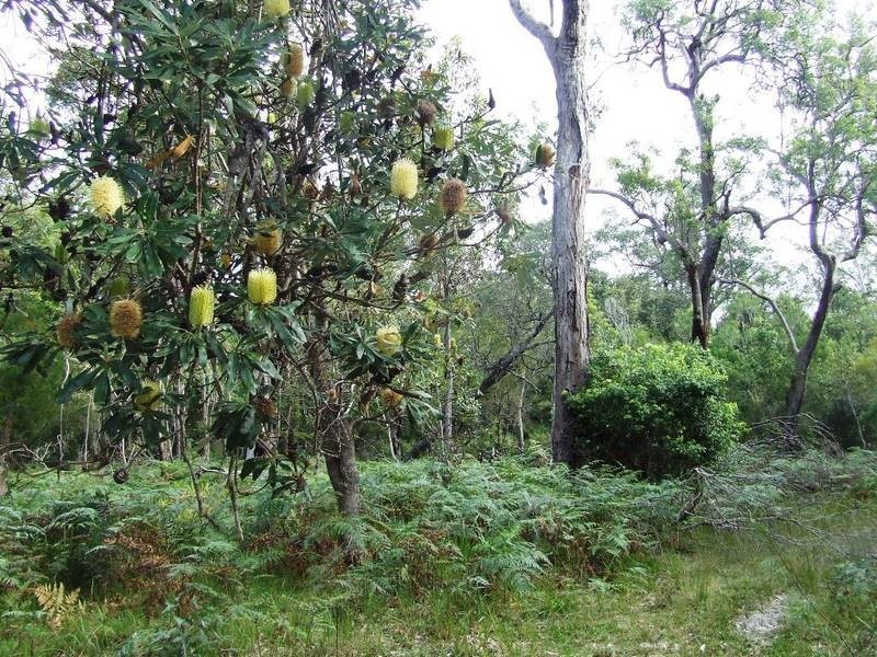 Lot 3,20 & 19,  Stonehouse Rd, Pillar Valley NSW 2462
