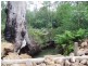 Lot 3,20 & 19,  Stonehouse Rd, Pillar Valley NSW 2462