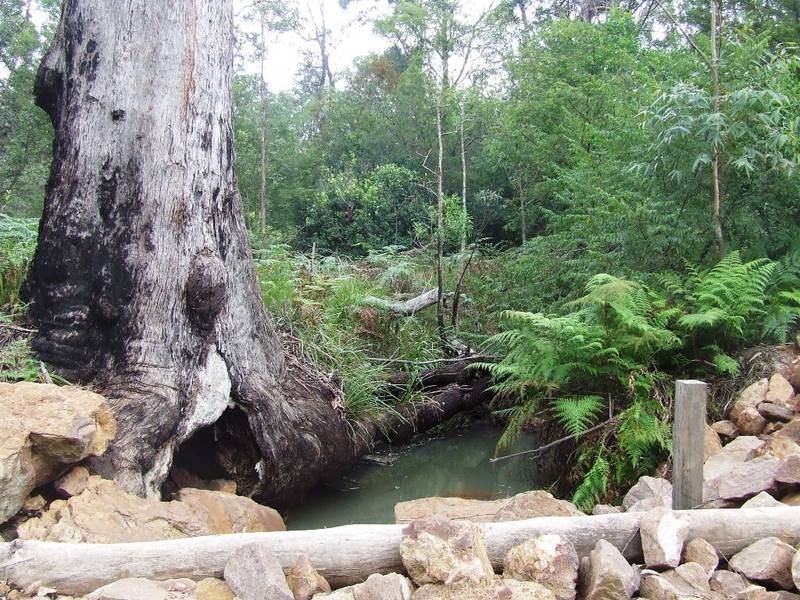 Lot 3,20 & 19,  Stonehouse Rd, Pillar Valley NSW 2462