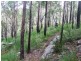 Lot 3,20 & 19,  Stonehouse Rd, Pillar Valley NSW 2462