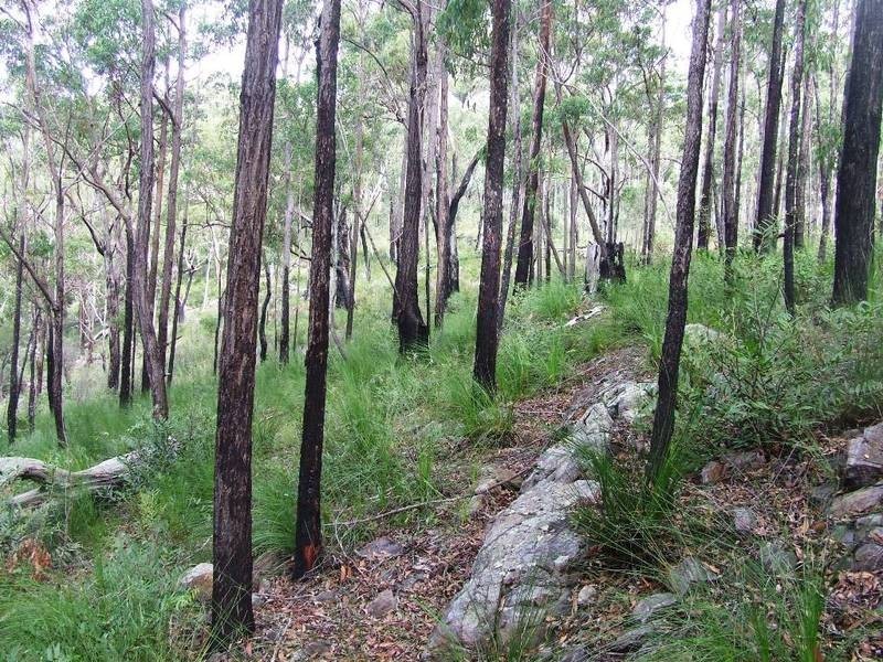 Lot 3,20 & 19,  Stonehouse Rd, Pillar Valley NSW 2462