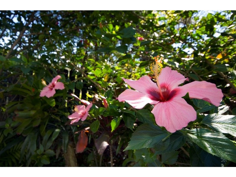 300 North Street, Wooli NSW 2462