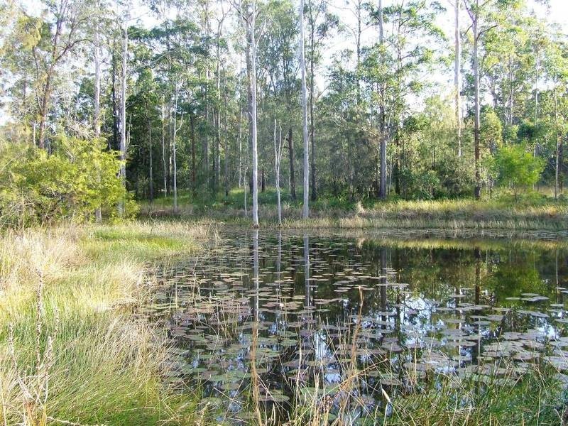 644 Firth Heinz Rd, Pillar Valley NSW 2462