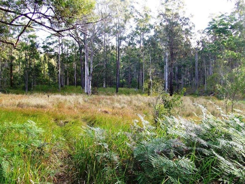 644 Firth Heinz Rd, Pillar Valley NSW 2462