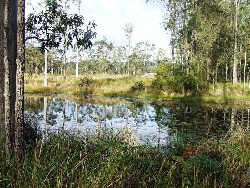 644 Firth Heinz Rd, Pillar Valley NSW 2462