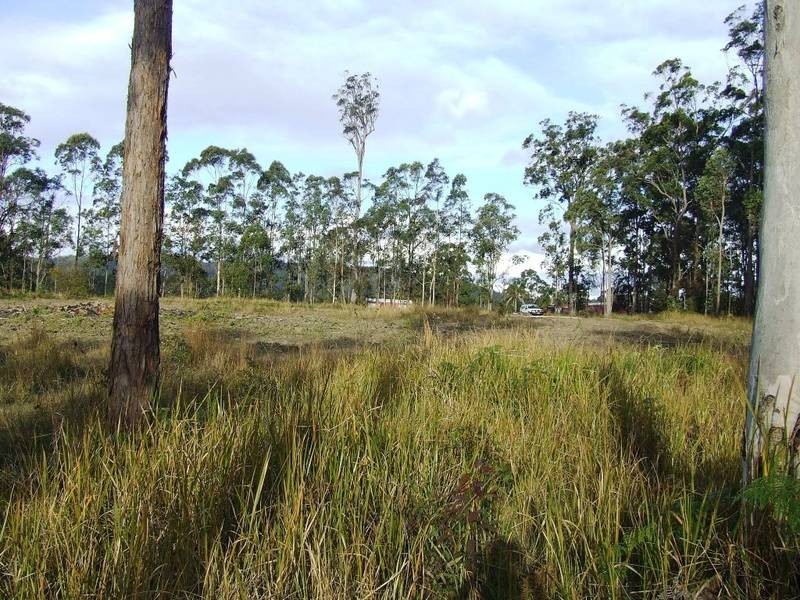 644 Firth Heinz Rd, Pillar Valley NSW 2462