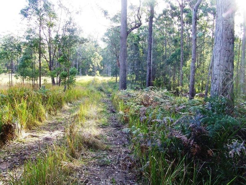 644 Firth Heinz Rd, Pillar Valley NSW 2462