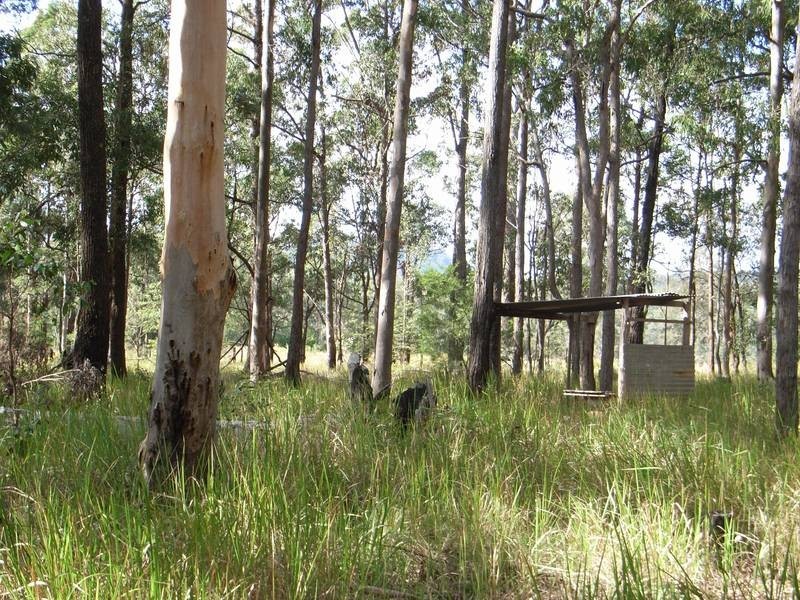 644 Firth Heinz Rd, Pillar Valley NSW 2462