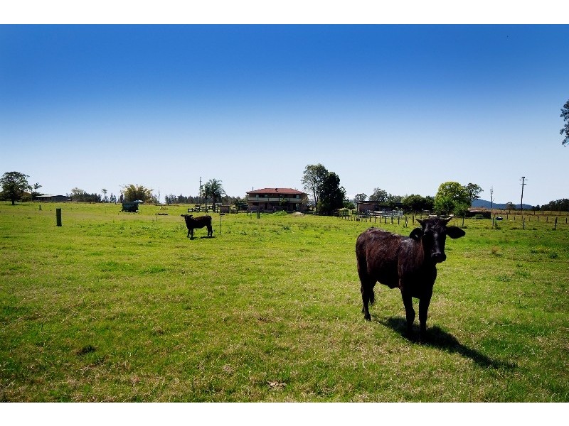 14 Coldstream Terrace, Tucabia NSW 2462