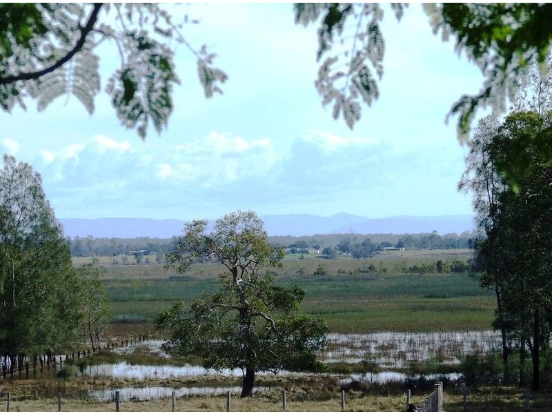 572 Wooli Road, Pillar Valley NSW 2462