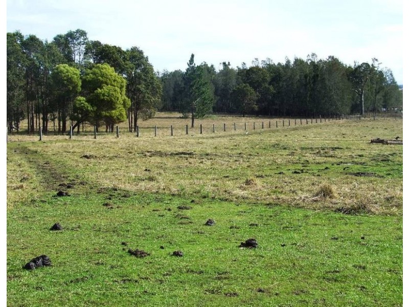 572 Wooli Road, Pillar Valley NSW 2462