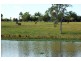 326 Upper Coldstream Road, Tyndale NSW 2460