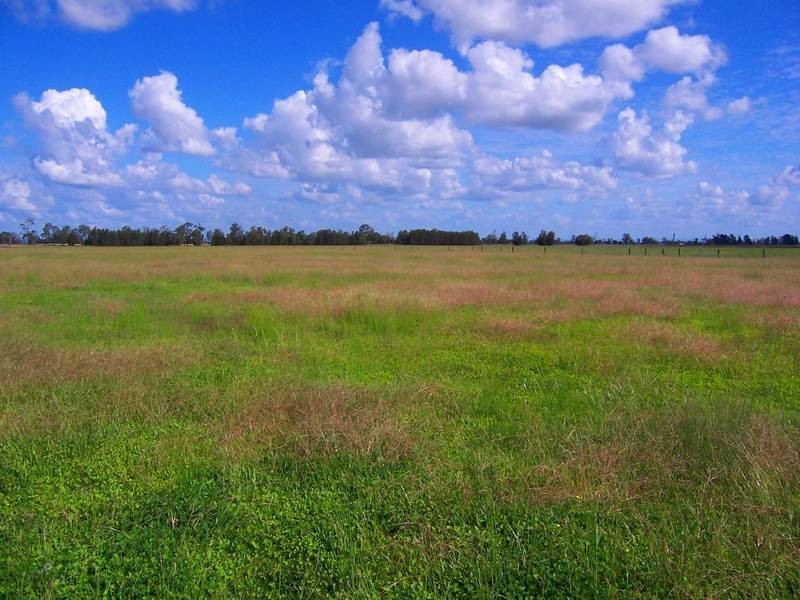 946 Lower Coldstream Rd, Ulmarra NSW 2462