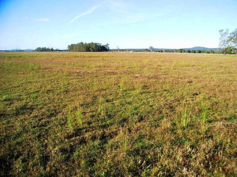 946 Lower Coldstream Rd, Ulmarra NSW 2462