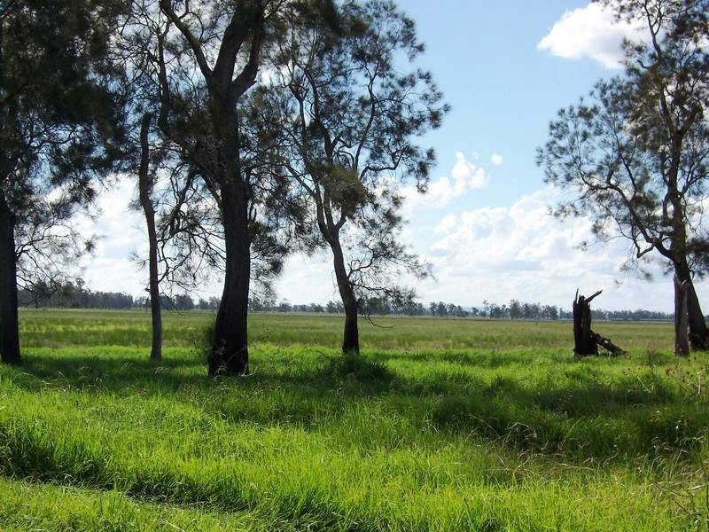 946 Lower Coldstream Rd, Ulmarra NSW 2462