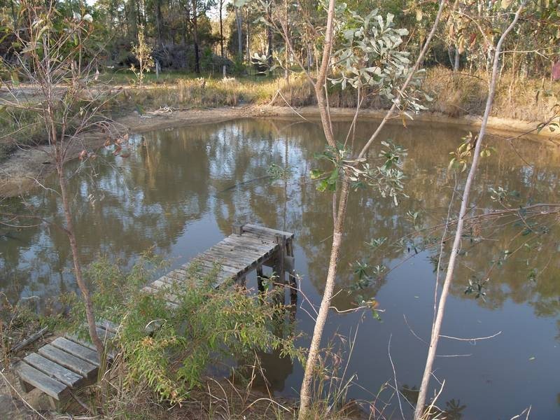 431 Wooli Road, Pillar Valley NSW 2462