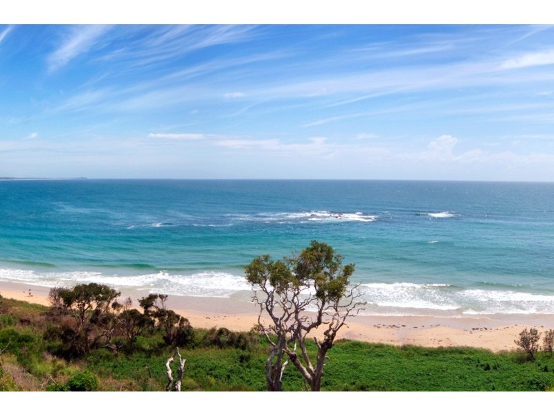 31 Waratah Cres, Minnie Water NSW 2462