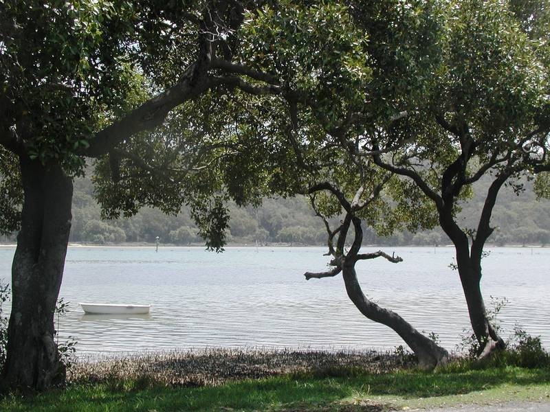 16 Olen Close, Wooli NSW 2462