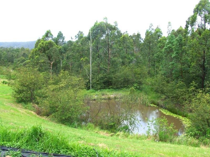 692 Firth Heinz, Pillar Valley NSW 2462