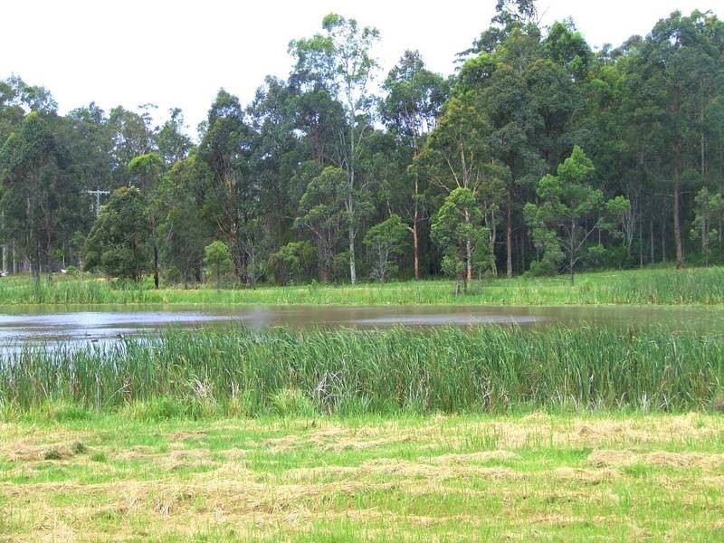 692 Firth Heinz, Pillar Valley NSW 2462