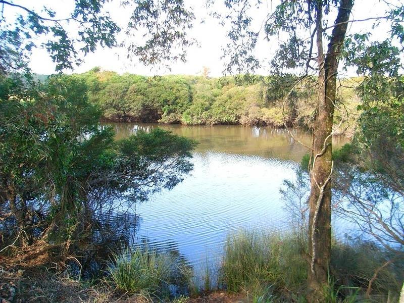 LOT 390 Sunnyside Rd, Pillar Valley NSW 2462