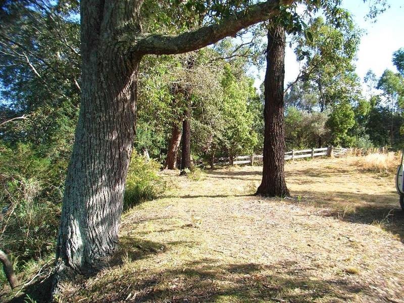 LOT 390 Sunnyside Rd, Pillar Valley NSW 2462