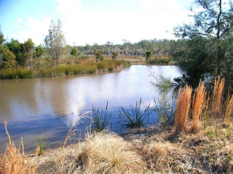 LOT 390 Sunnyside Rd, Pillar Valley NSW 2462