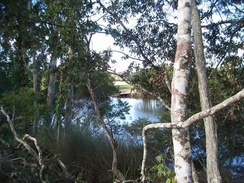 LOT 390 Sunnyside Rd, Pillar Valley NSW 2462