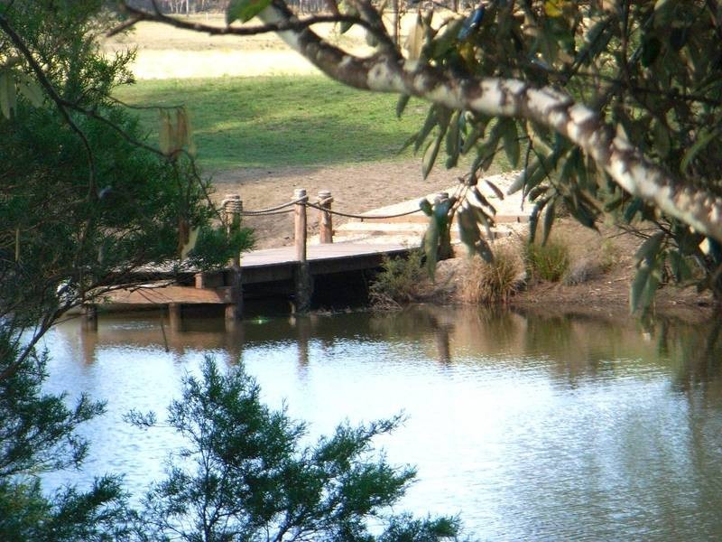 LOT 390 Sunnyside Rd, Pillar Valley NSW 2462