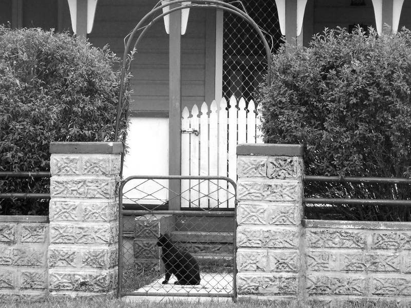 21 Coldstream Terrace, Tucabia NSW 2462