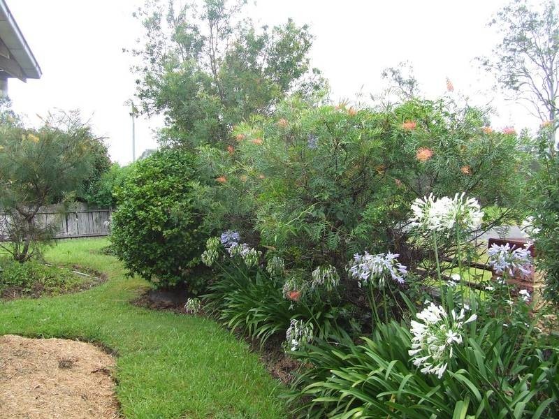 21 Coldstream Terrace, Tucabia NSW 2462