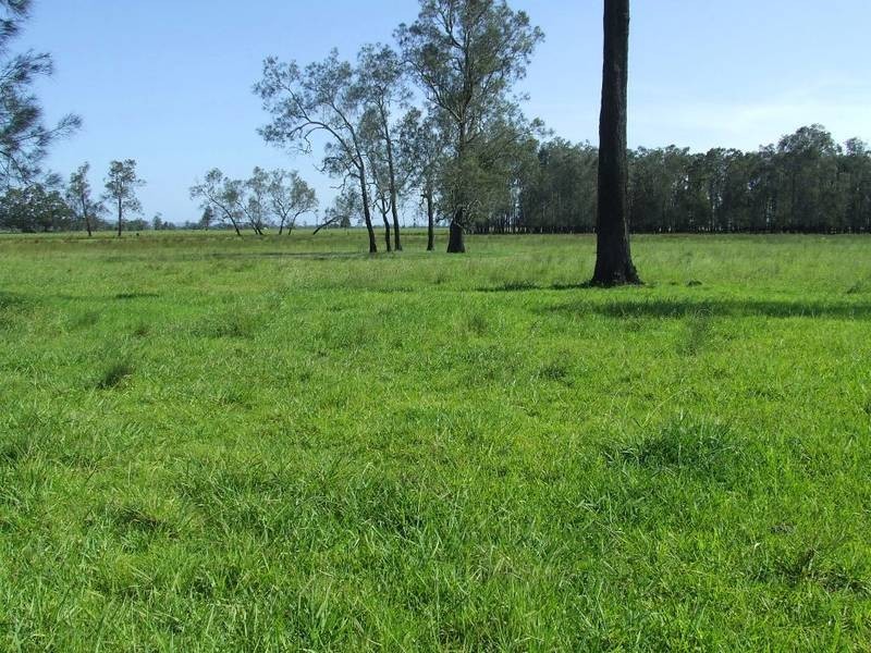 35 McGraths Lane, Ulmarra NSW 2462