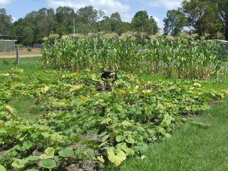 39 Bellengen Street, Tucabia NSW 2462