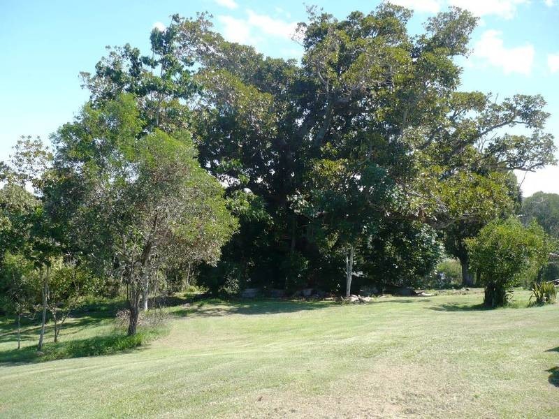 Lot 4/71 Cameron, Maclean NSW 2463