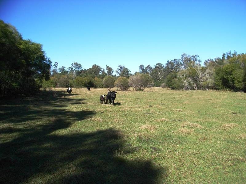 265 Stonehouse Road, Pillar Valley NSW 2462