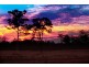 15 Hiawatha Road, Minnie Water NSW 2462
