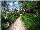 128 Main Street, Wooli NSW 2462