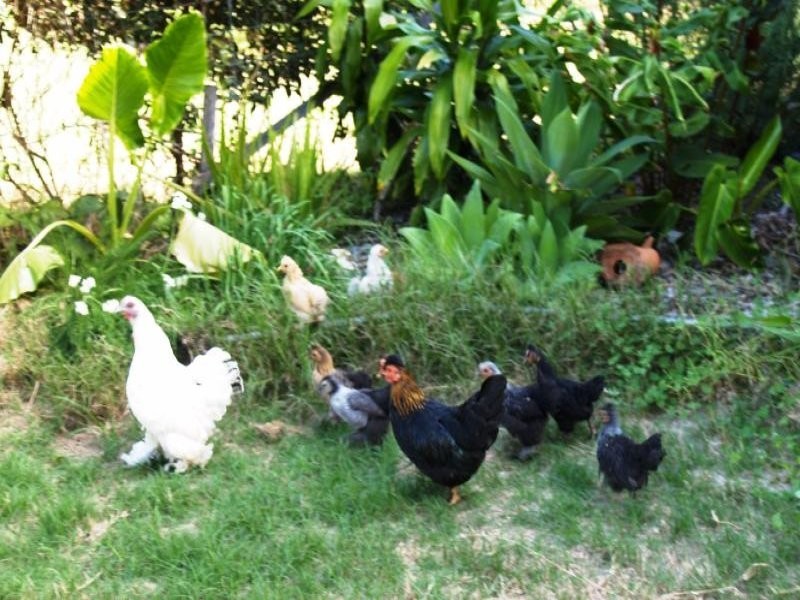 373 North Street, Wooli NSW 2462